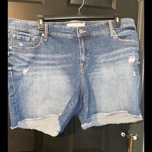 Torrid denim shorts 24